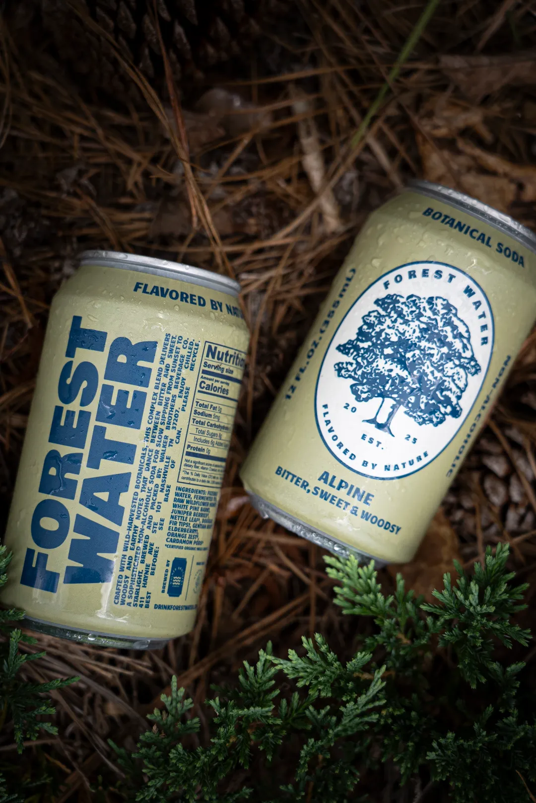 Forest Water - Non-Alc Botanical Soda | Alpine