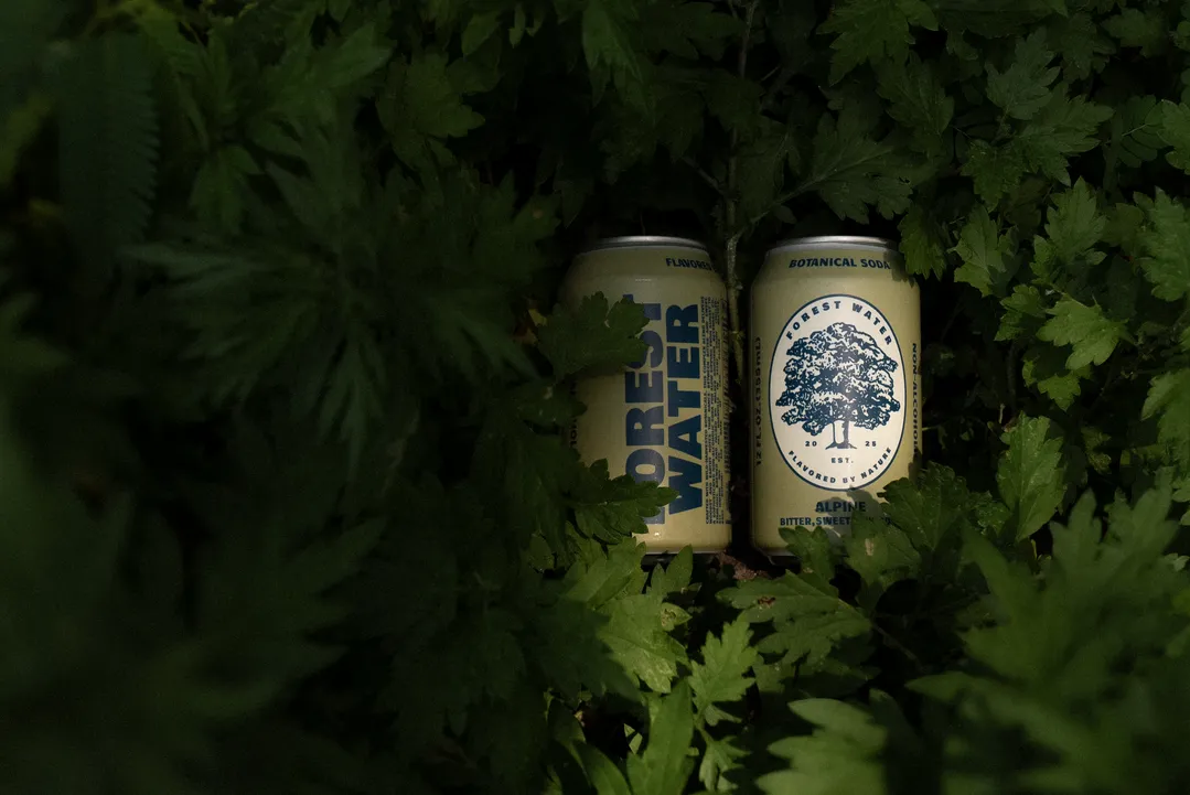Forest Water - Non-Alc Botanical Soda | Alpine