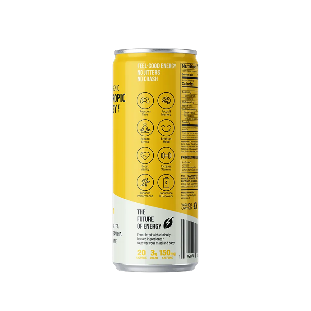 Warrior kombucha - Tea-Based Energy - Yuzu Passion
