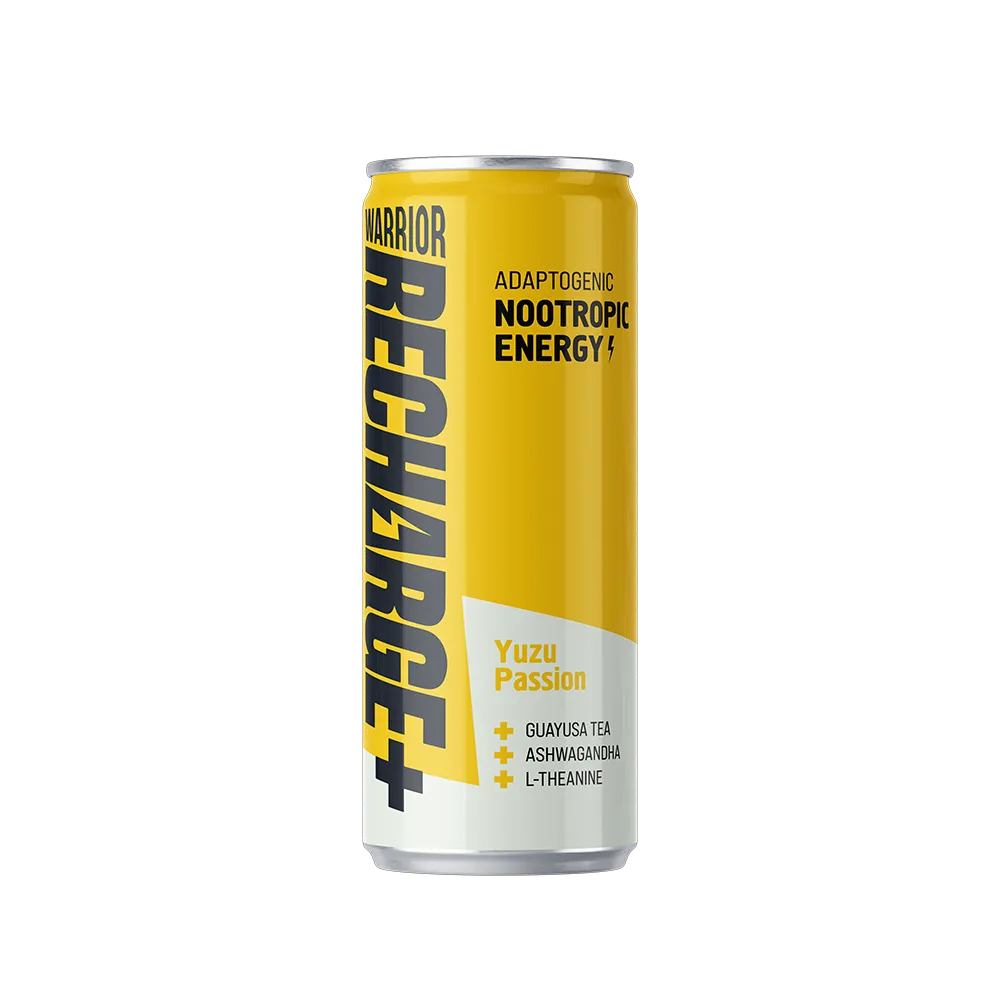 Warrior kombucha - Tea-Based Energy - Yuzu Passion
