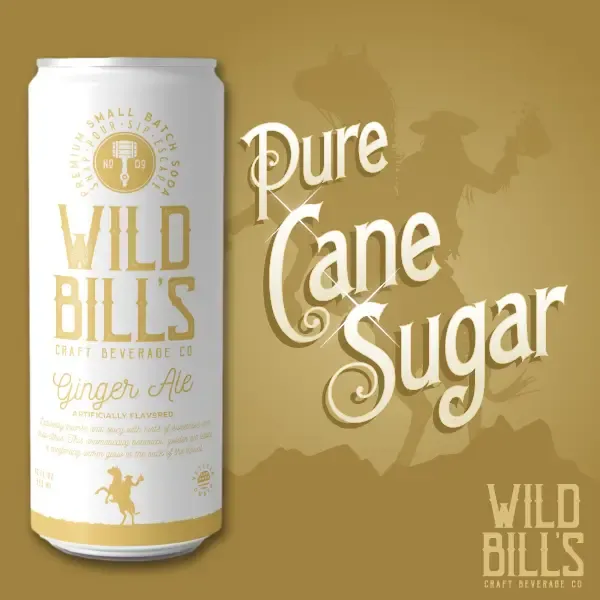 Ginger Ale - Premium Cane Sugar Soda, 12-Pack, Cans