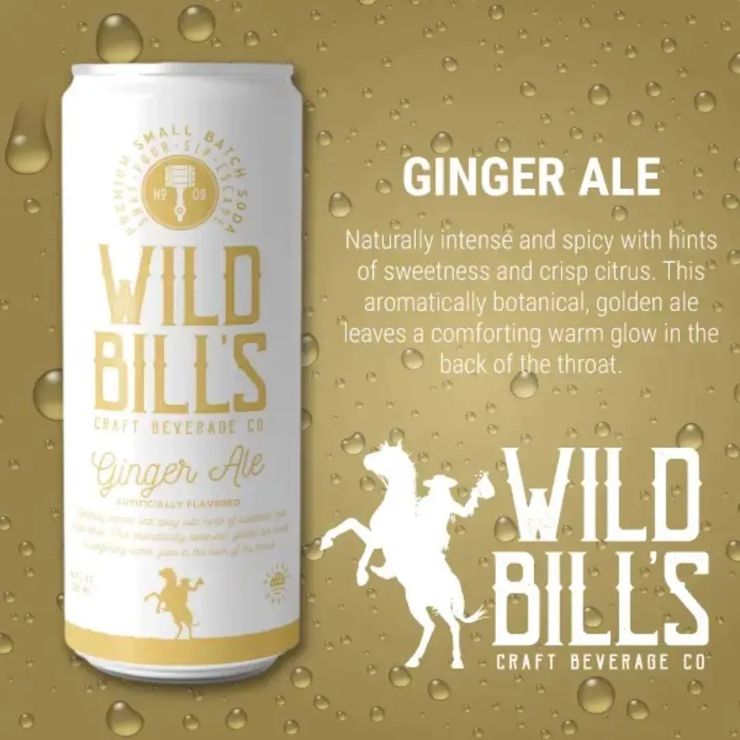 Ginger Ale - Premium Cane Sugar Soda, 12-Pack, Cans