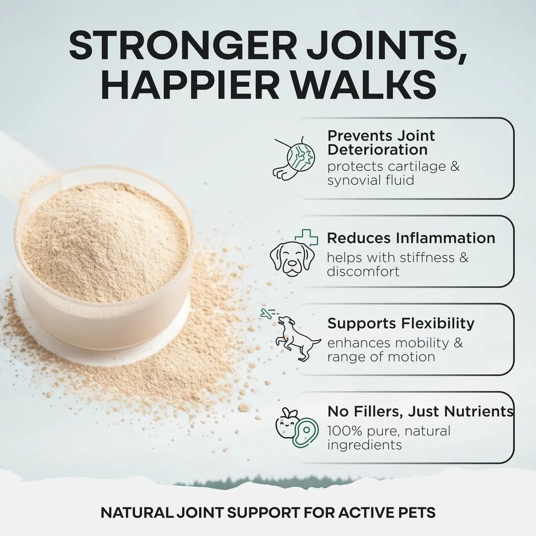 Wild Pets - Blue Lipped Mussel & Glucosamine Powder