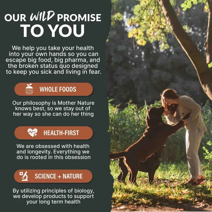 Wholesale - Wild Pets Bundle