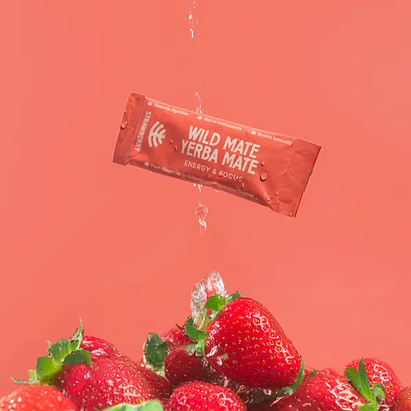 Yerba Mate Energy Sticks | L-Theanine + Electrolytes – Wild Mate