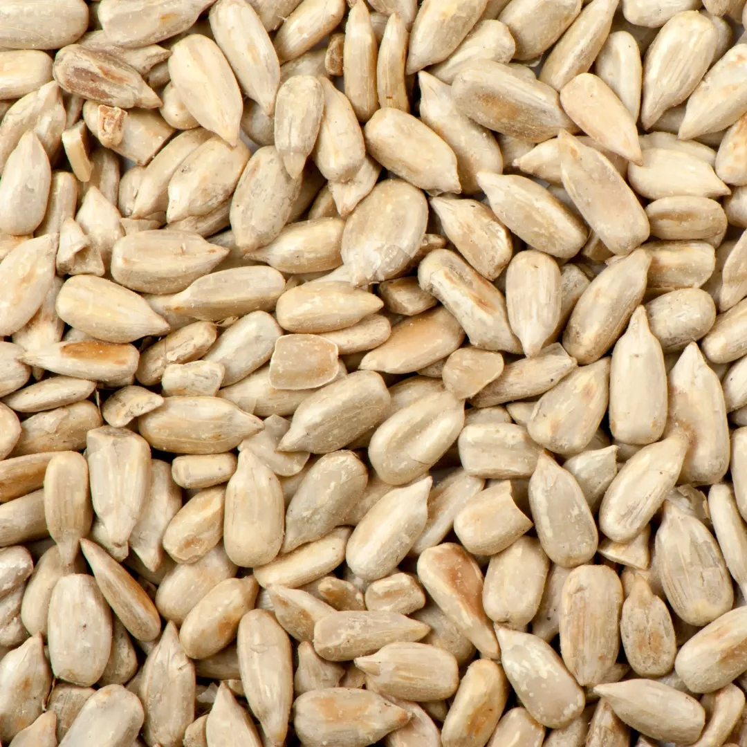 Raw, Organic Bulk Nuts and Seeds (Native Pecans)