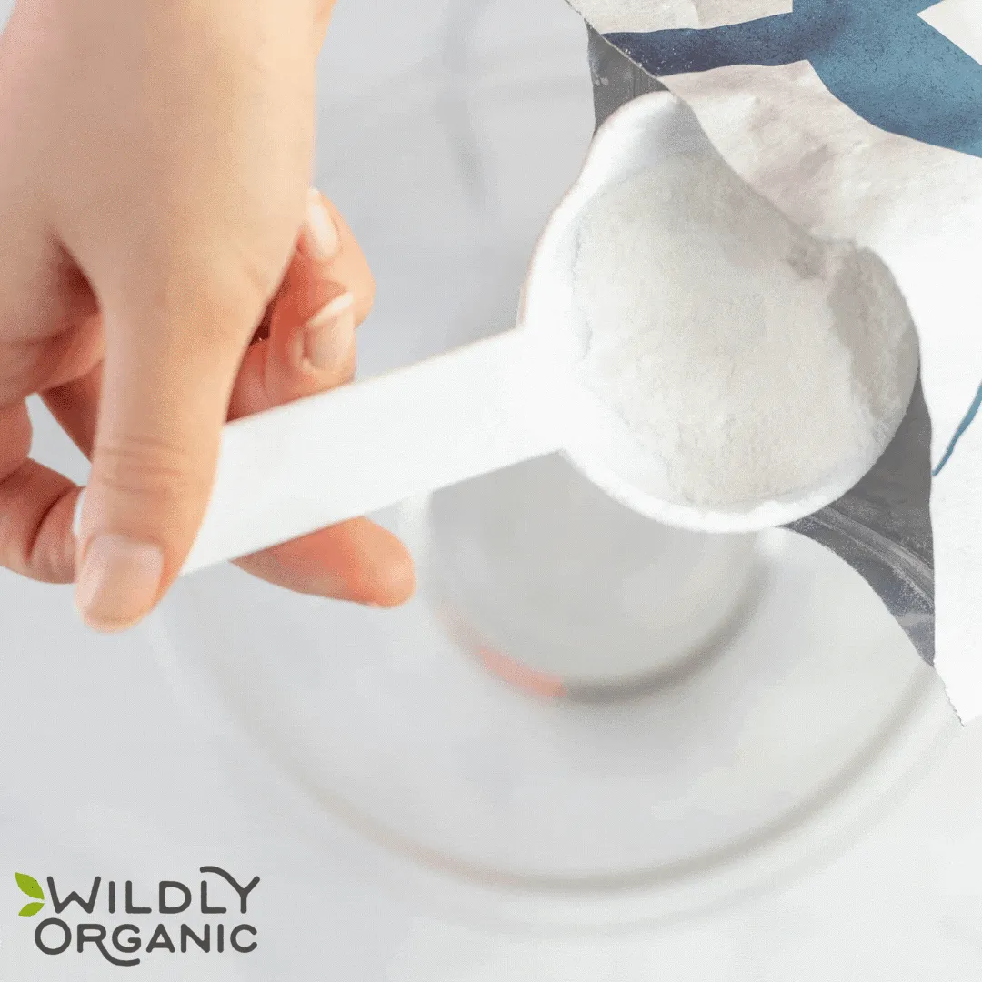 Organic Non-Dairy Coconut Milk Powder (33 lbs)