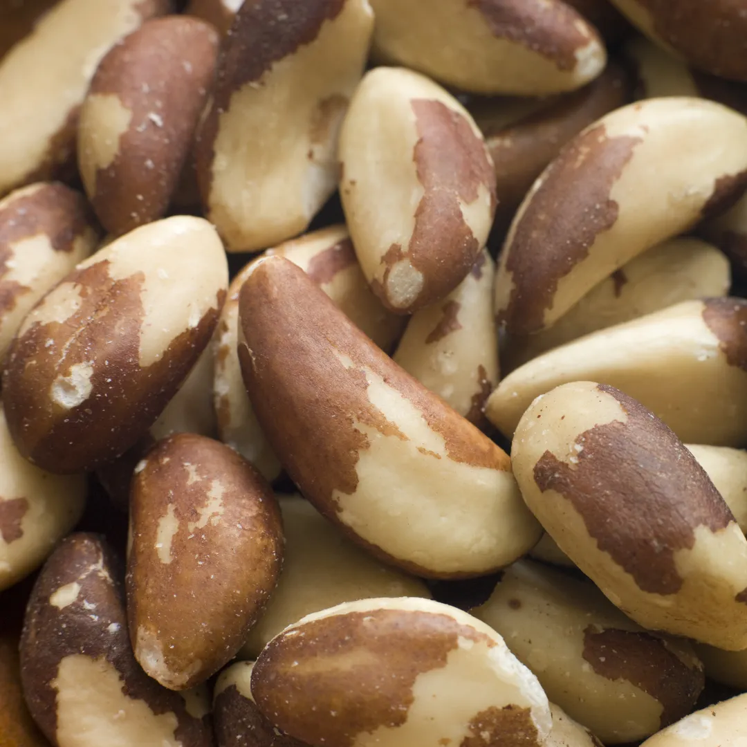 Raw, Organic Bulk Nuts and Seeds (Texas Pecans)