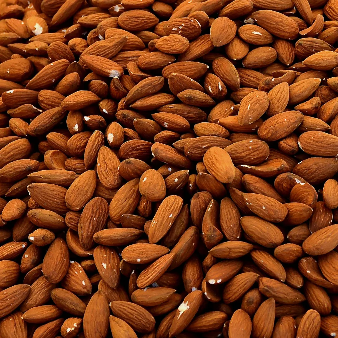Raw, Organic Bulk Nuts and Seeds (Texas Pecans)