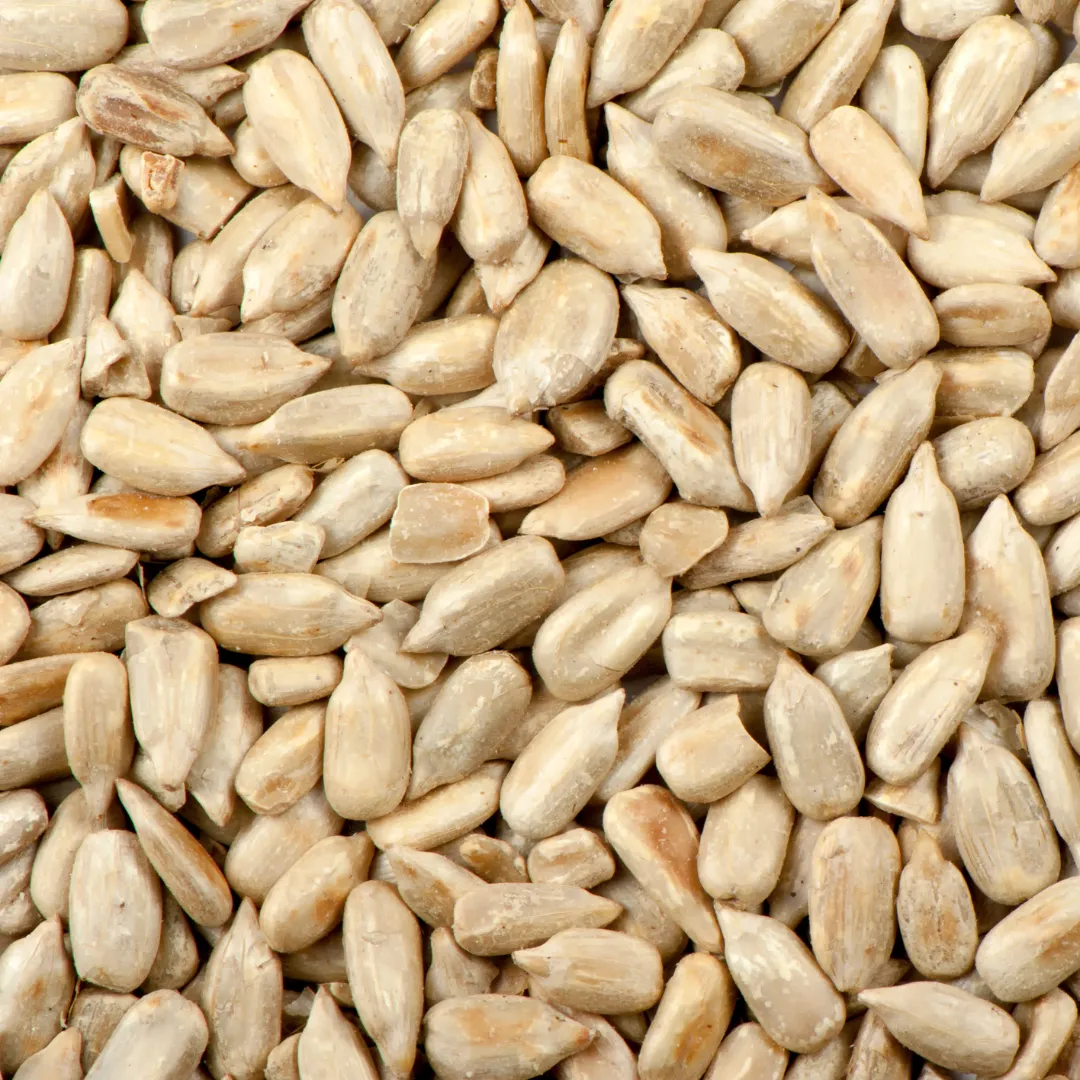 Raw, Organic Bulk Nuts and Seeds (Texas Pecans)