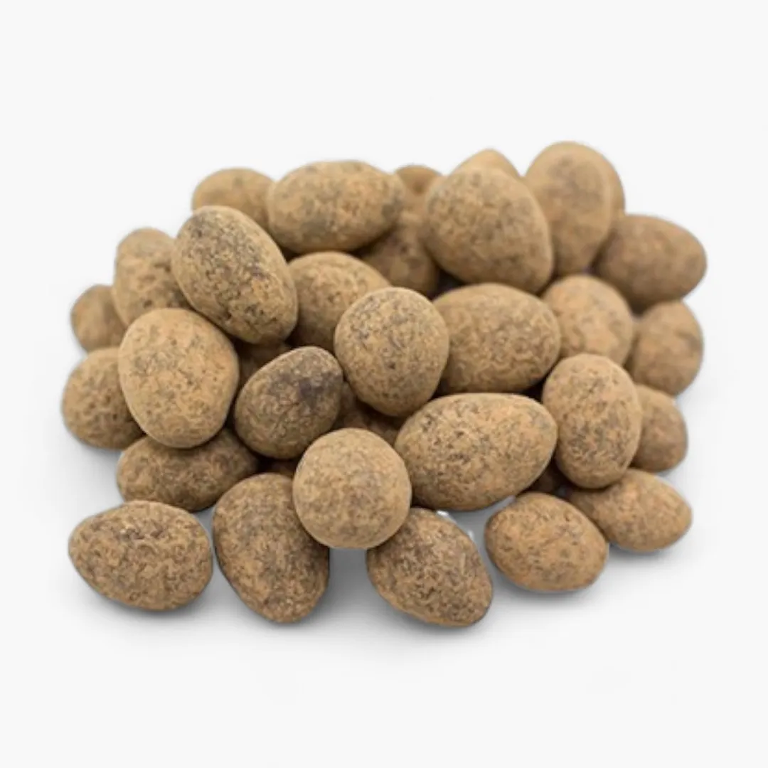 Chocolate Covered Almonds