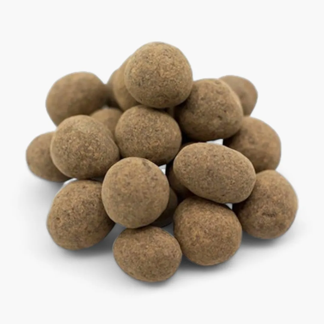Chocolate Covered Sprouted Hazelnuts
