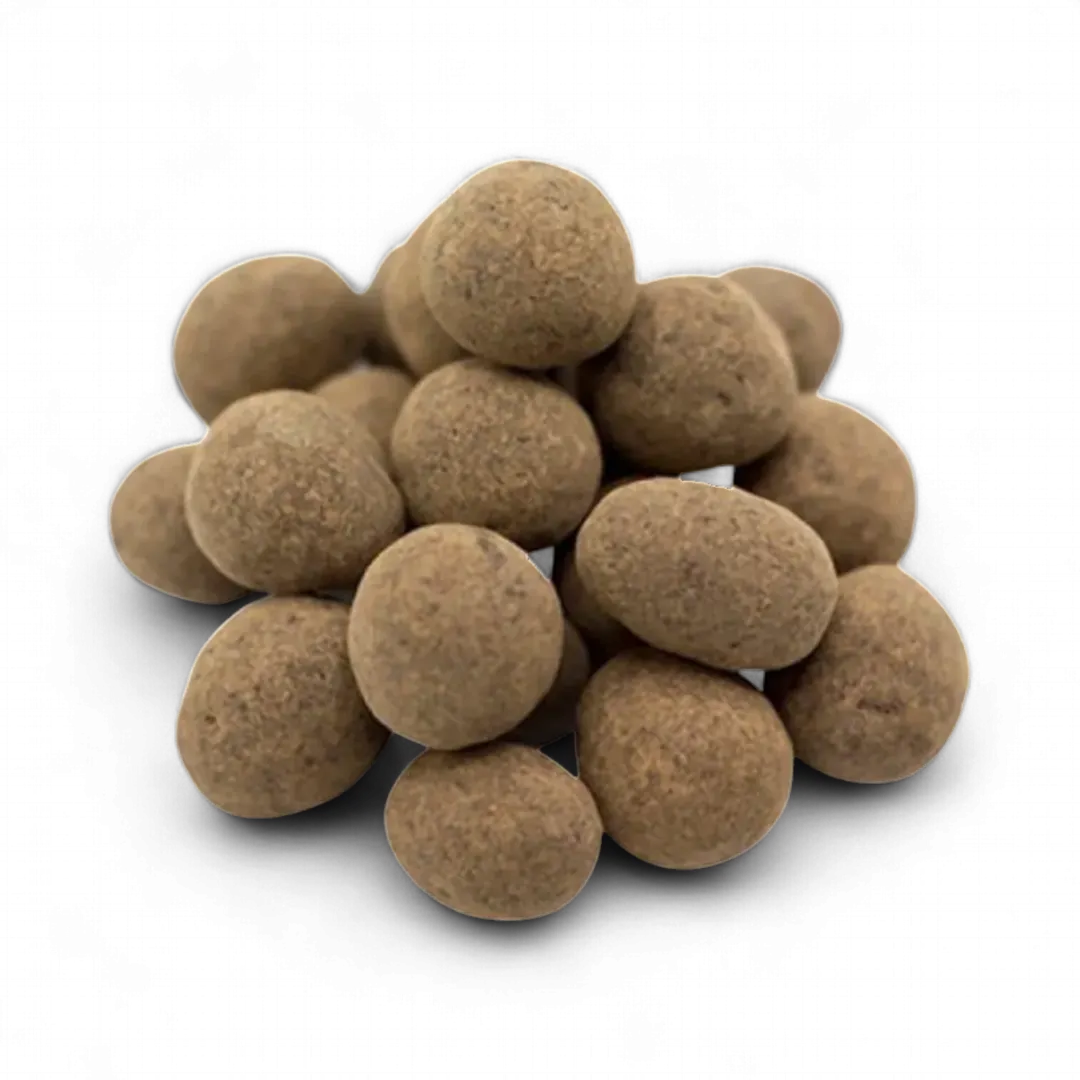 Chocolate  Covered Sprouted Hazelnuts