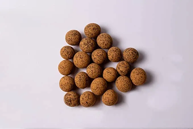 Chocolate  Covered Sprouted Hazelnuts