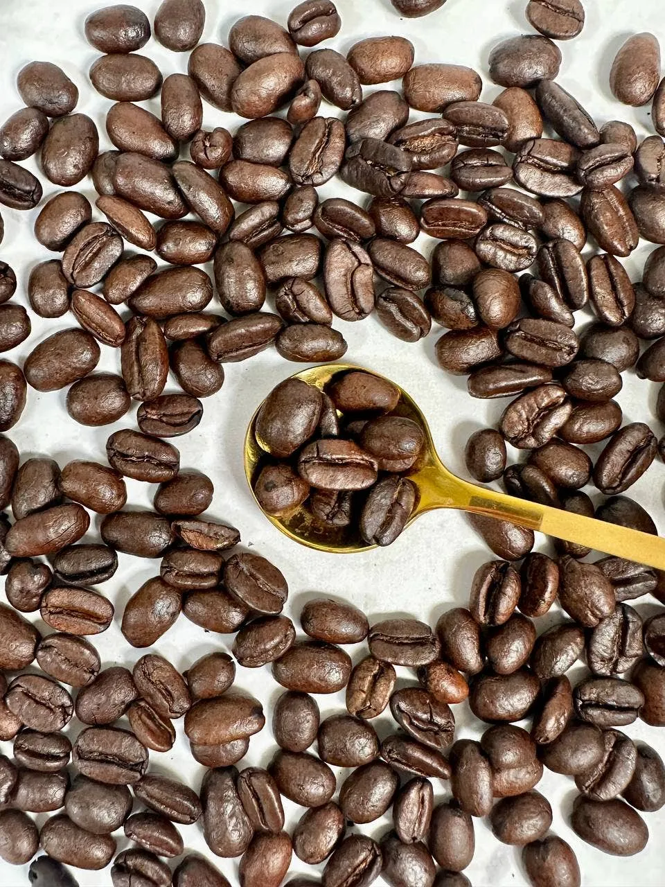 Organic Antioxidant Coffee Breakfast Blend | Whole Bean | 12oz