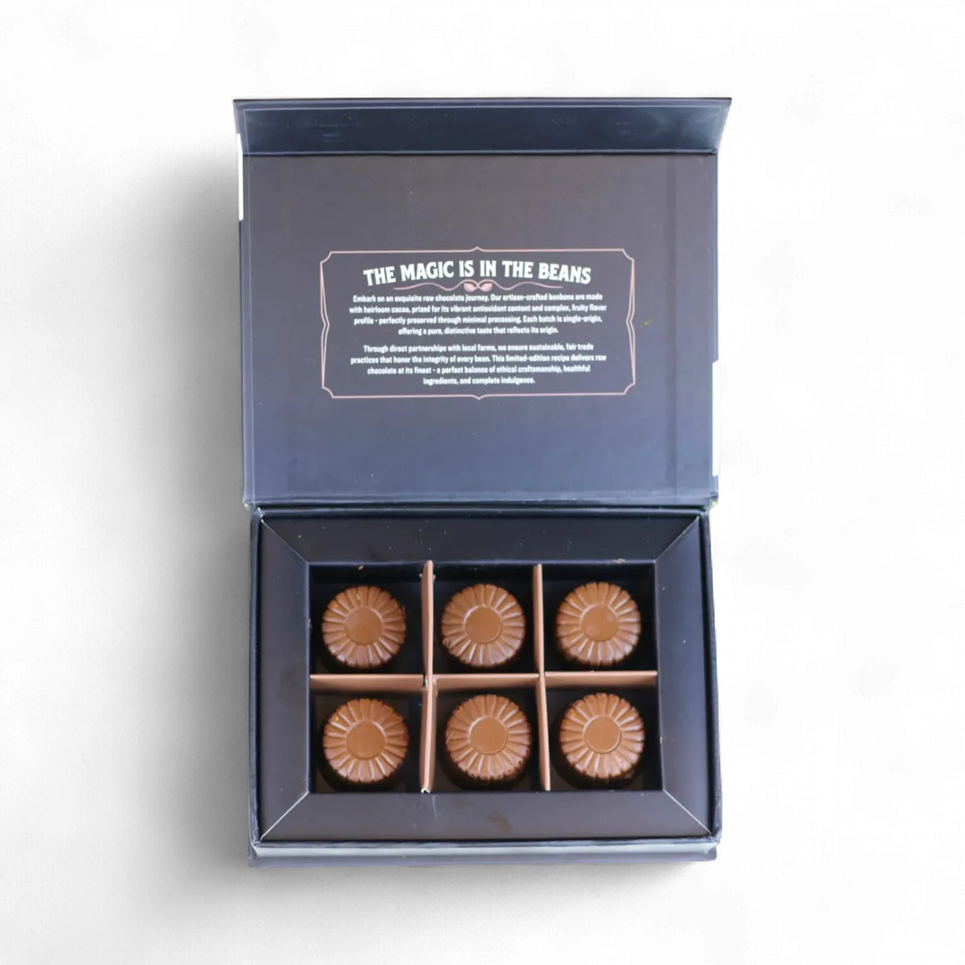 Rawmio Coconut Milk Chocolate Bonbons, 6 Bonbons