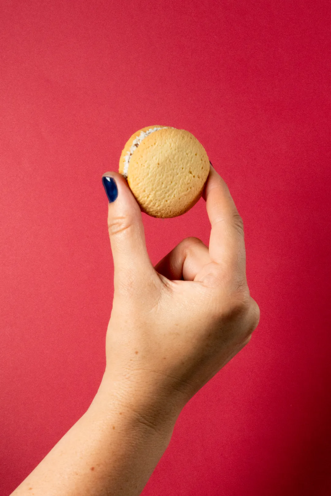 Traditional Argentinian Alfajores - Box of 4