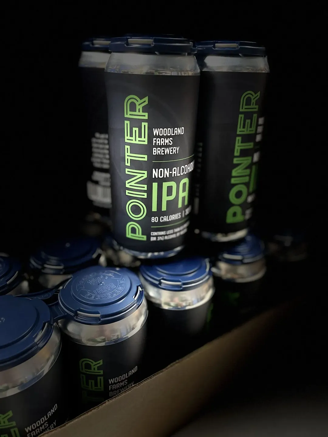 Pointer IPA – 6-4pk case