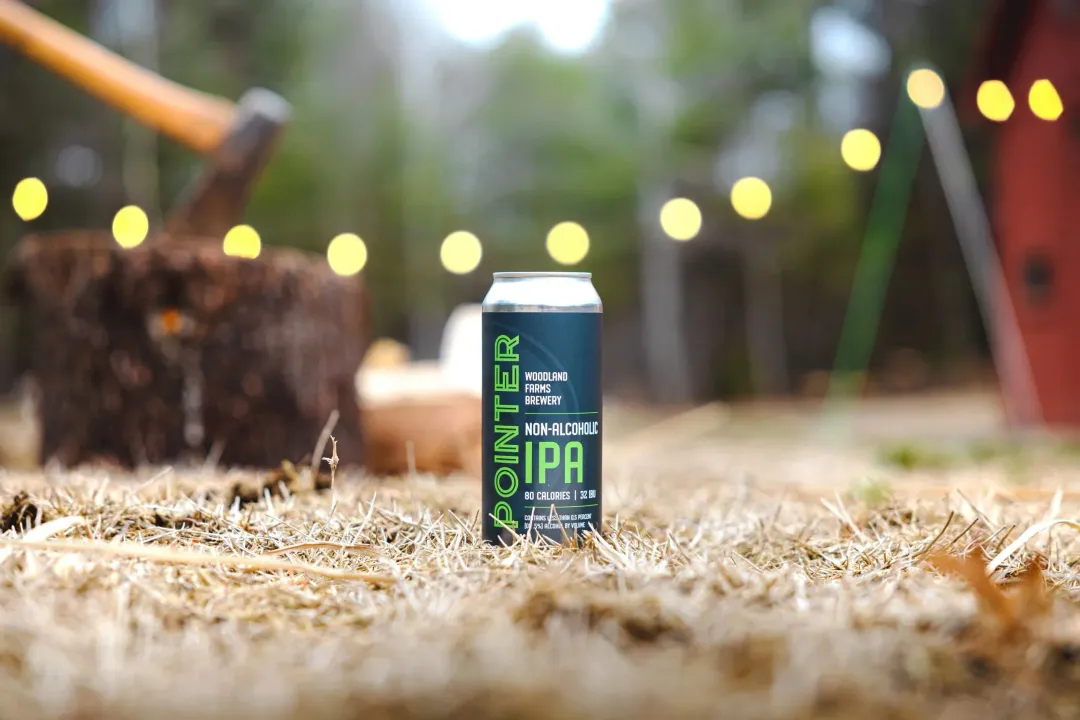 Pointer IPA – 6-4pk case