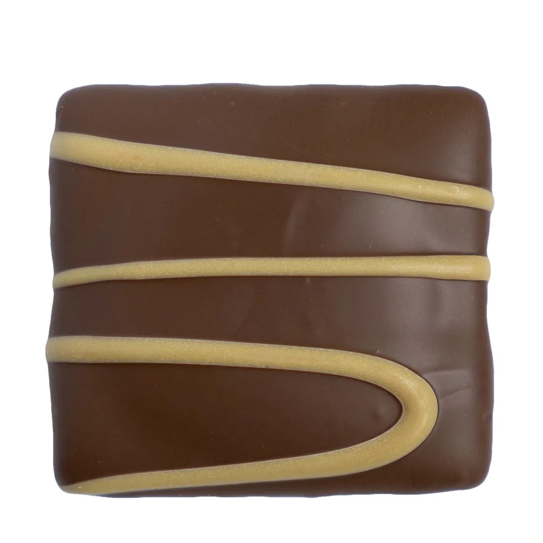 Famous Pacific Chocolate Graham Cracker Tub Shelf Pack