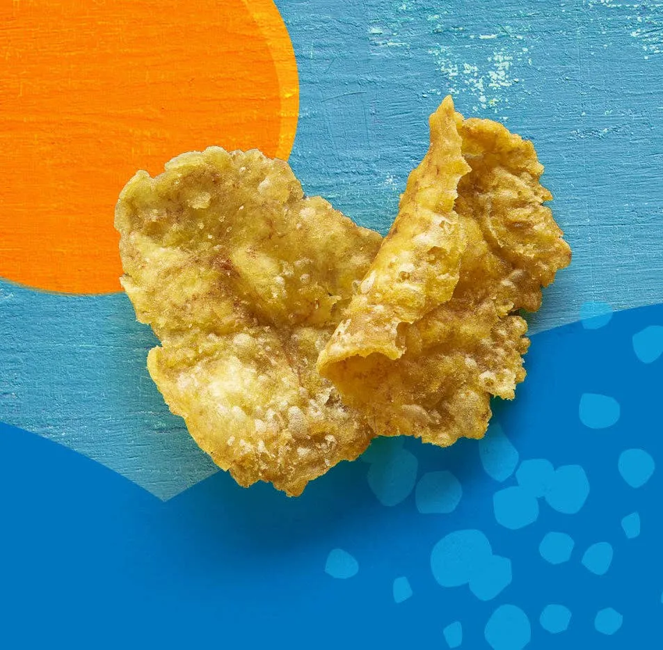 Pacific Sea Salt  Plantain Crisps