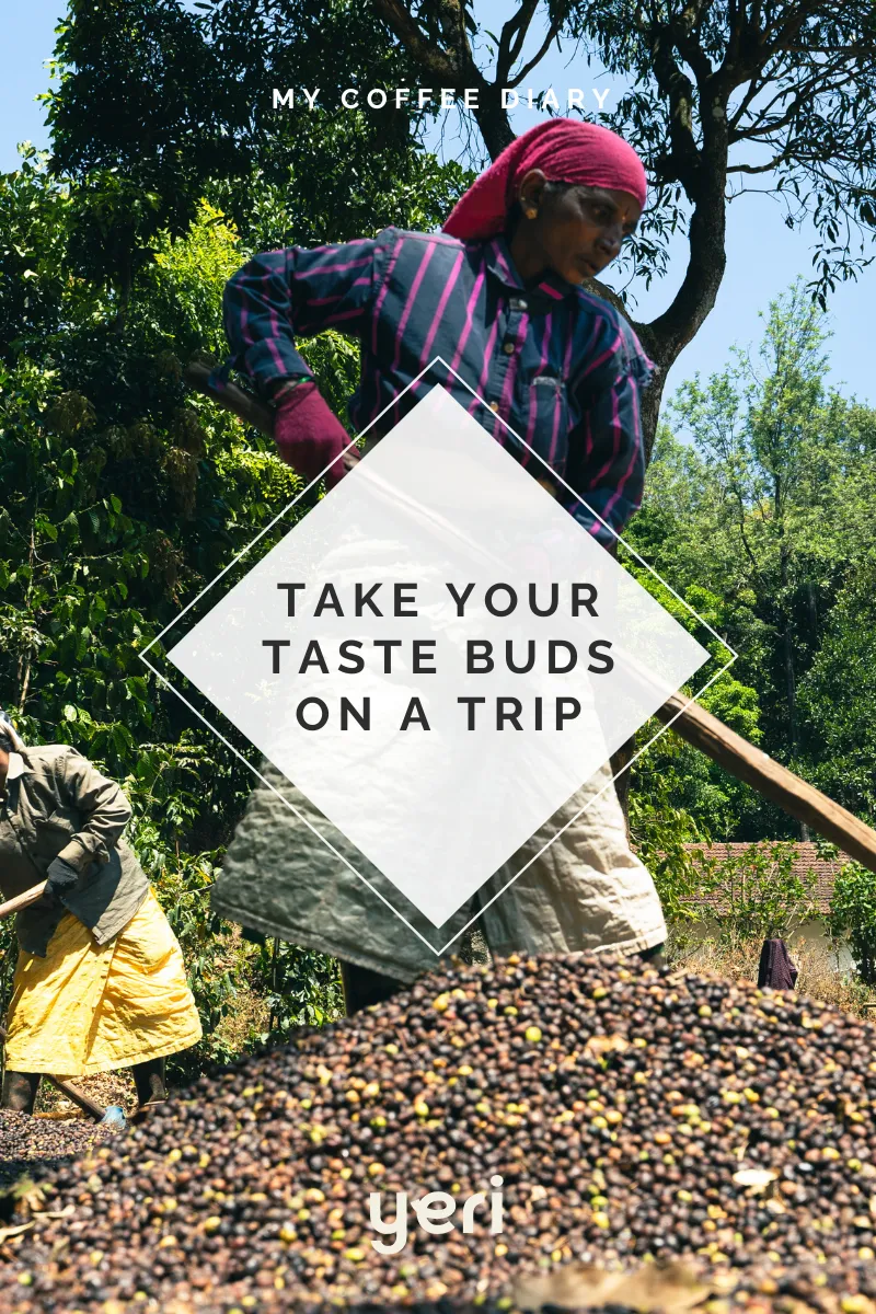 Cherry Pick — Anaerobic Natural Microlot | Ratnagiri Estate | South Indian Specialty Coffee