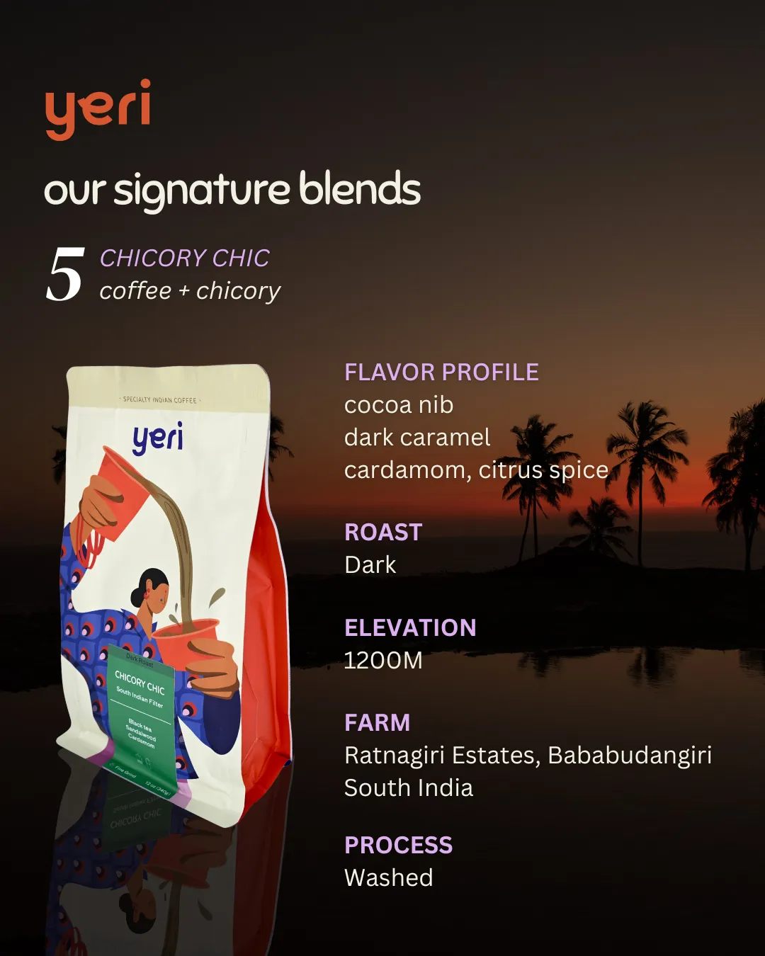 Chicory Chic — South Indian Dark Roast with Chicory | Traditional Filter Coffee Blend