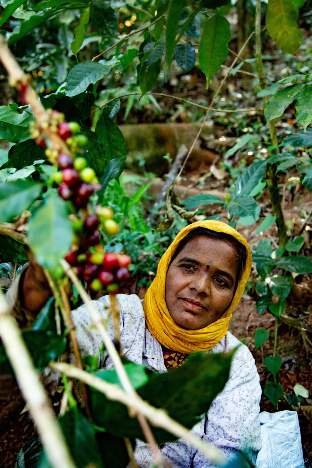 Monkey Business — Single Estate Washed Arabica | South Indian Specialty Coffee