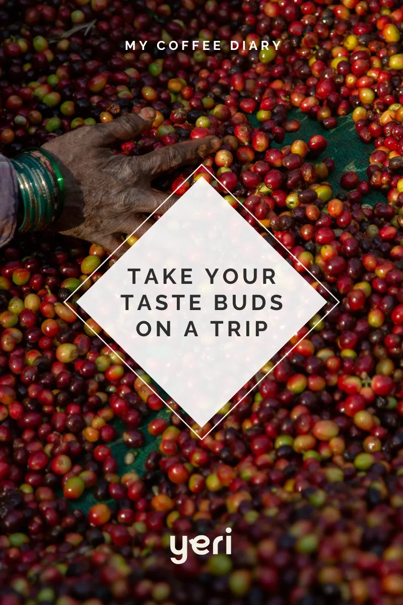 Monkey Business — Single Estate Washed Arabica | South Indian Specialty Coffee