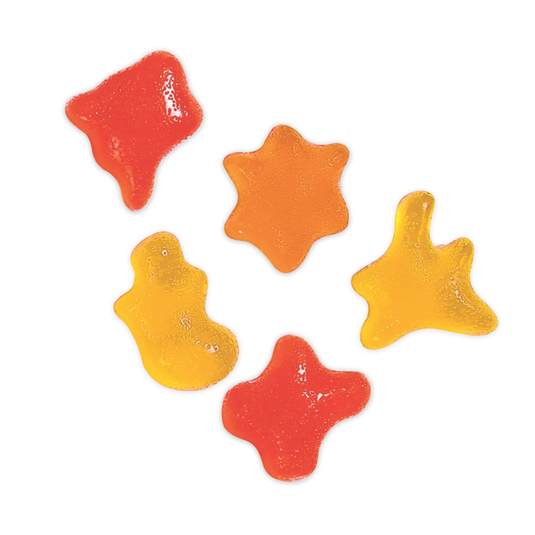 High Fiber Gummies Variet Pack | 16g Fiber, 0g Added Sugar