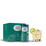 Lyre's – Margarita RTD (6-4pks)