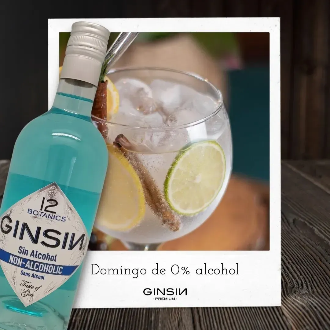GINSIN 12 Botanics Non-Alcoholic Gin Alternative