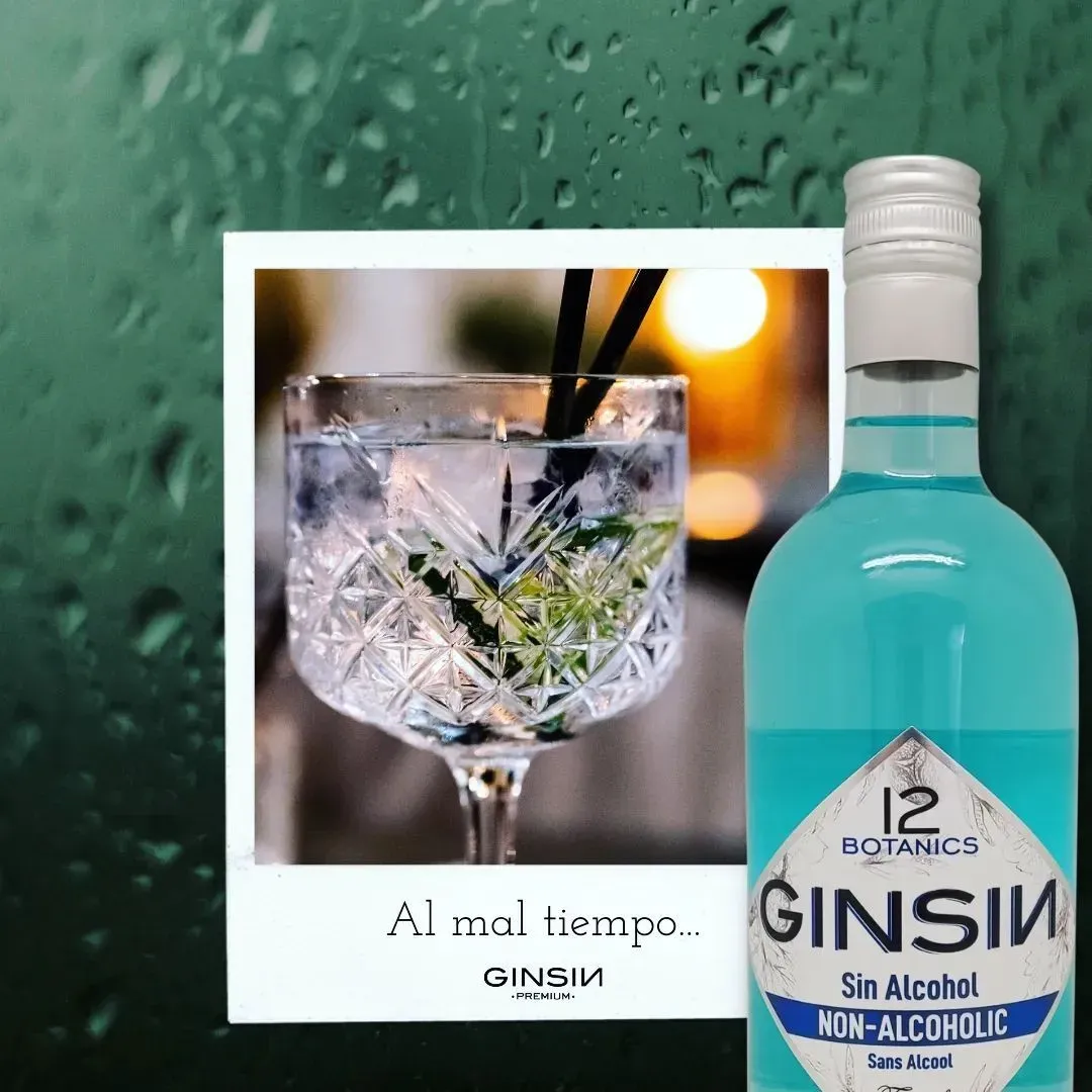 GINSIN 12 Botanics Non-Alcoholic Gin Alternative