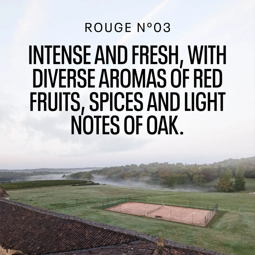 Kolonne Null Cuvee Rouge No. 3, Non-Alcoholic Red Wine | Red Fruits, Spices, and Light Oak | Dealcoholized with Grapes from France 25.4 fl oz (<0.5% ABV, 750ml)