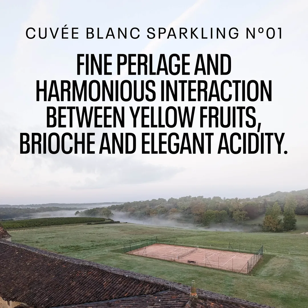 Kolonne Null Cuvee Sparkling No. 1, Non-Alcoholic Bubbly, Dealcoholized with Grapes from Germany (<0.5% ABV, 375ml)