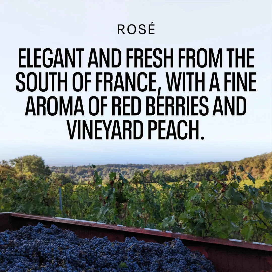 Kolonne Null Rose, Non-Alcoholic Wine | Red Berries and Peach, Elegant and Fresh | Dealcoholized with Grapes from France 25.4 fl oz (<0.5% ABV, 750ml)