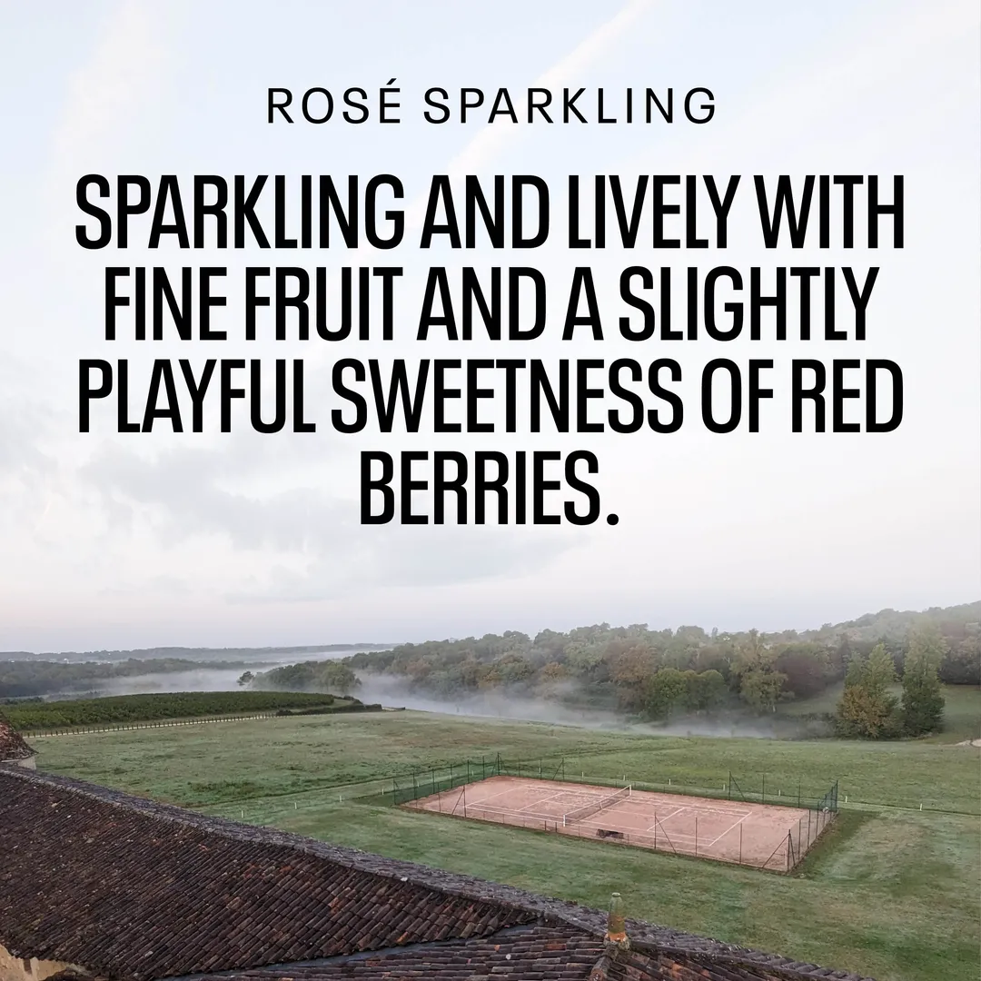 Kolonne Null Rose Sparkling, Non-Alcoholic Wine | Lively, Light Sweetness From Red Berries | Dealcoholized with Grapes from France 25.4 fl oz (<0.5% ABV, 750ml)