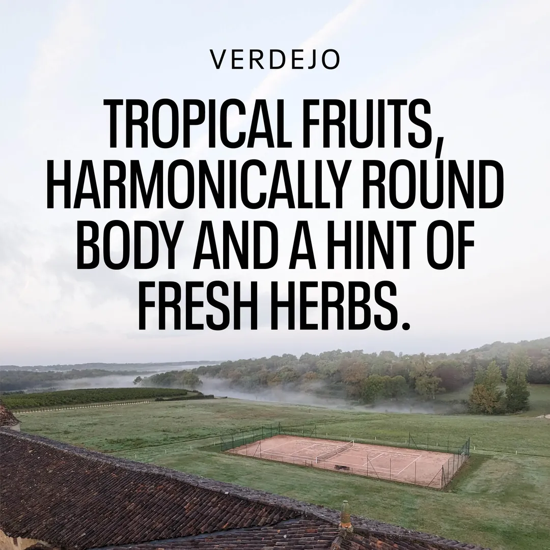 Kolonne Null Verdejo, Non-Alcoholic White Wine | Round Bodied, Tropical Fruit Flavors | Dealcoholized with Grapes from Spain 25.4 fl oz (<0.5% ABV, 750ml)