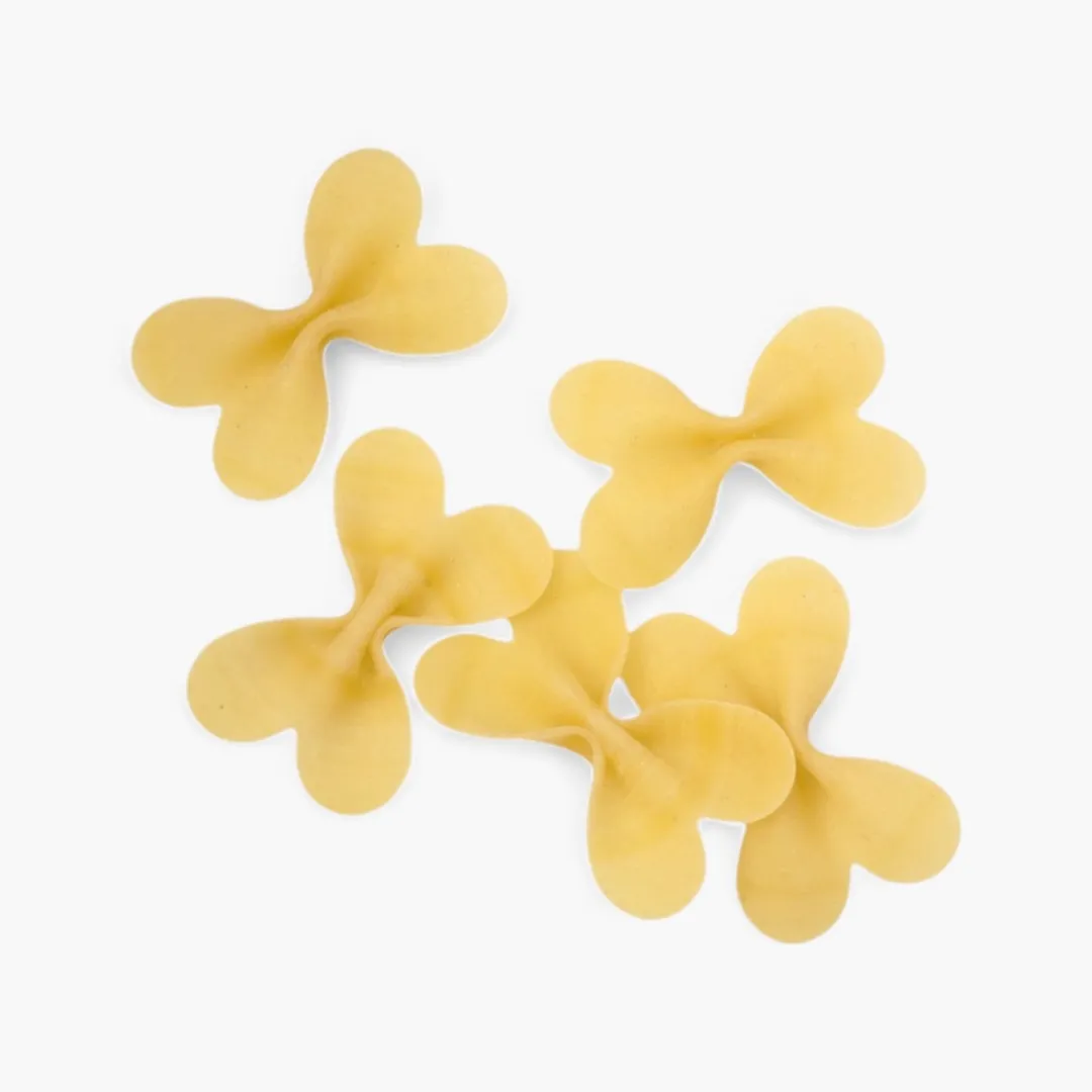 Farfalloni IGP by La Fabbrica della Pasta