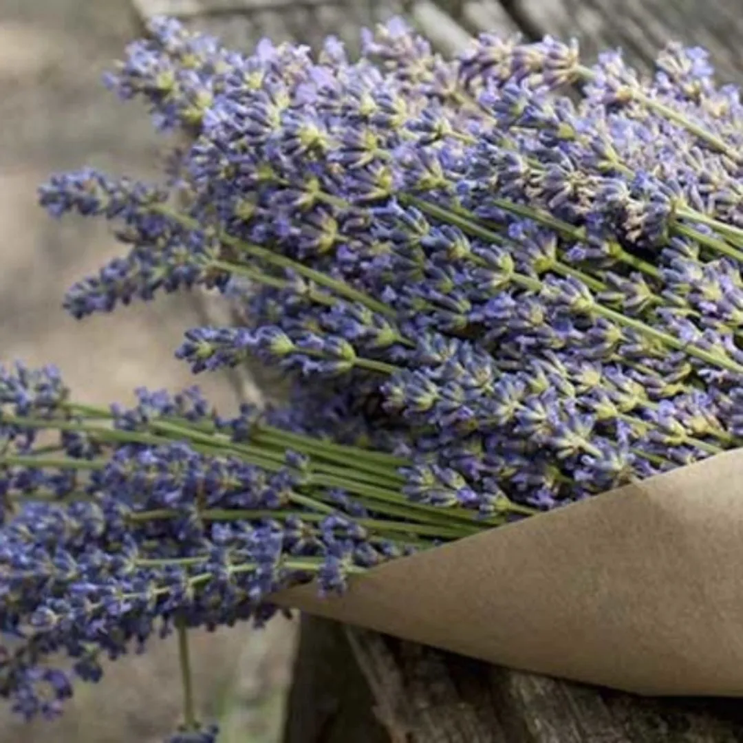 Organic Sicilian Lavender by Agricola Filippone