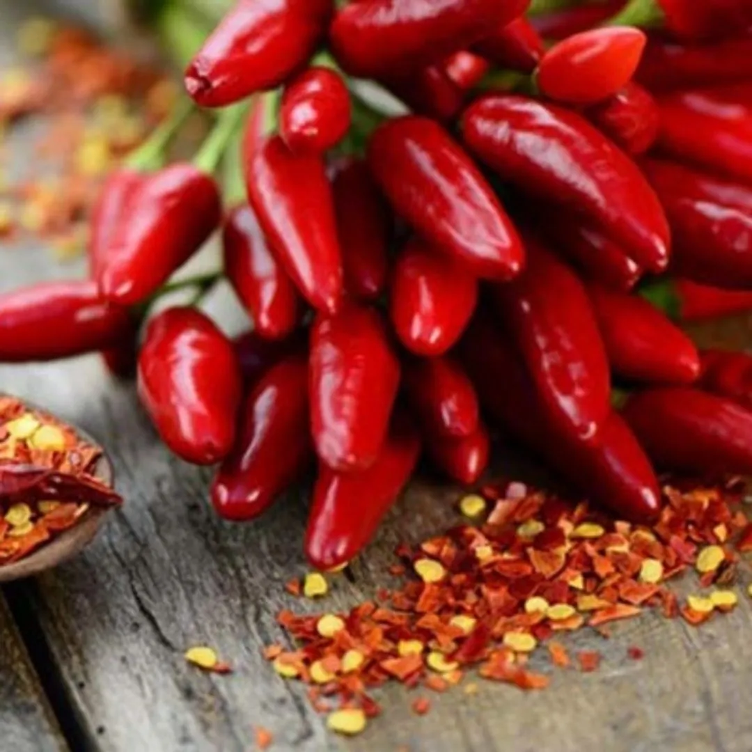 Organic Sicilian Peperoncino by Agricola Filippone