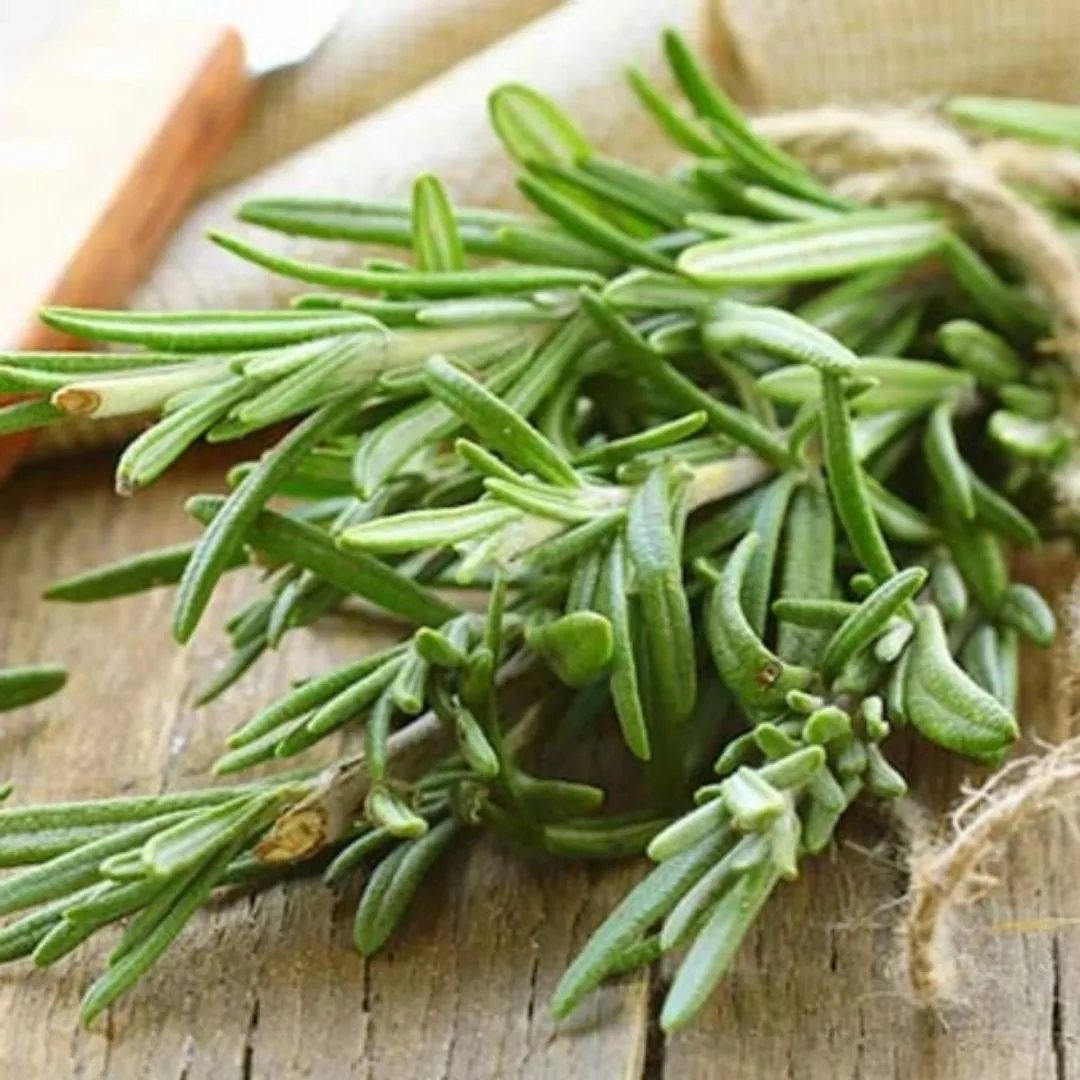 Organic Sicilian Rosemary by Agricola Filippone