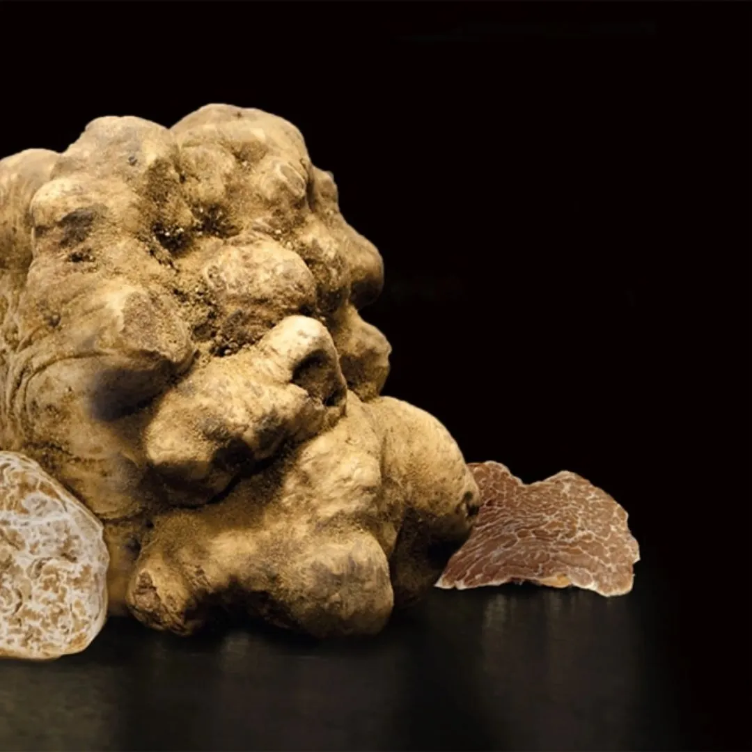 White Truffle Extra Virgin Olive Oil by Giuliano Tartufi