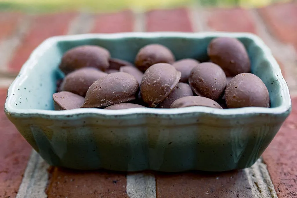 HOLIDAY Milk Chocolate Covered Pecans -12 bags